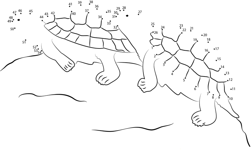 Two Turtle dot to dot worksheets