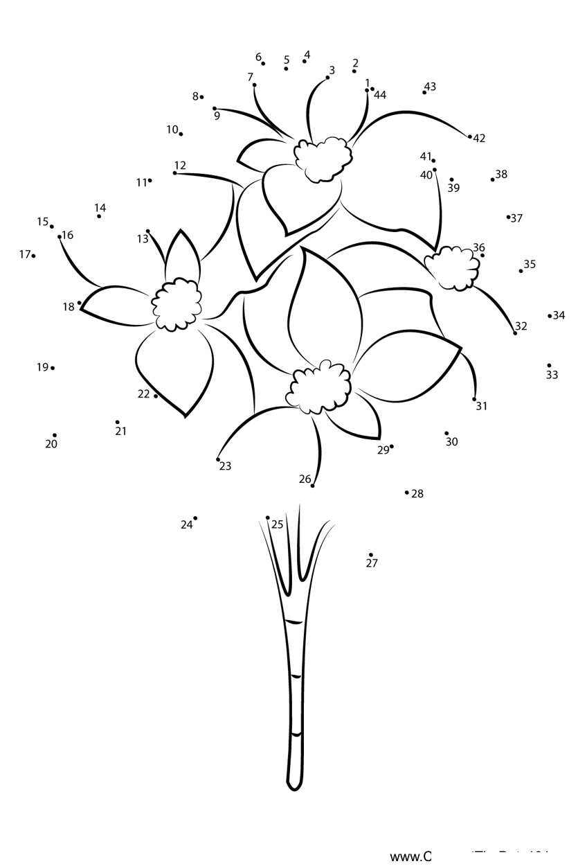 Christmas-Roses printable dot to dot worksheet