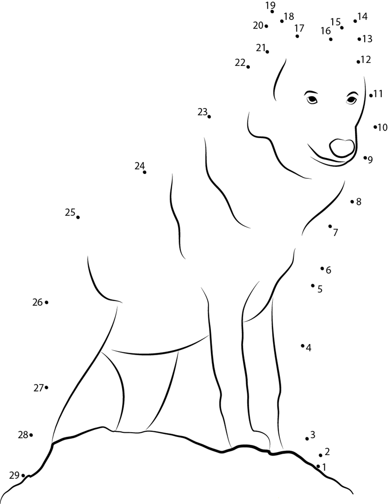 Canis Lupus Lupus printable dot to dot worksheet