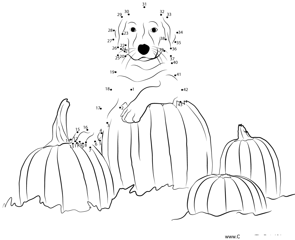 Dog-With-Pumpkin dot to dot worksheets