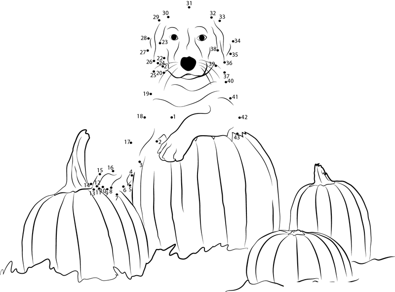 Dog With Pumpkin dot to dot worksheets