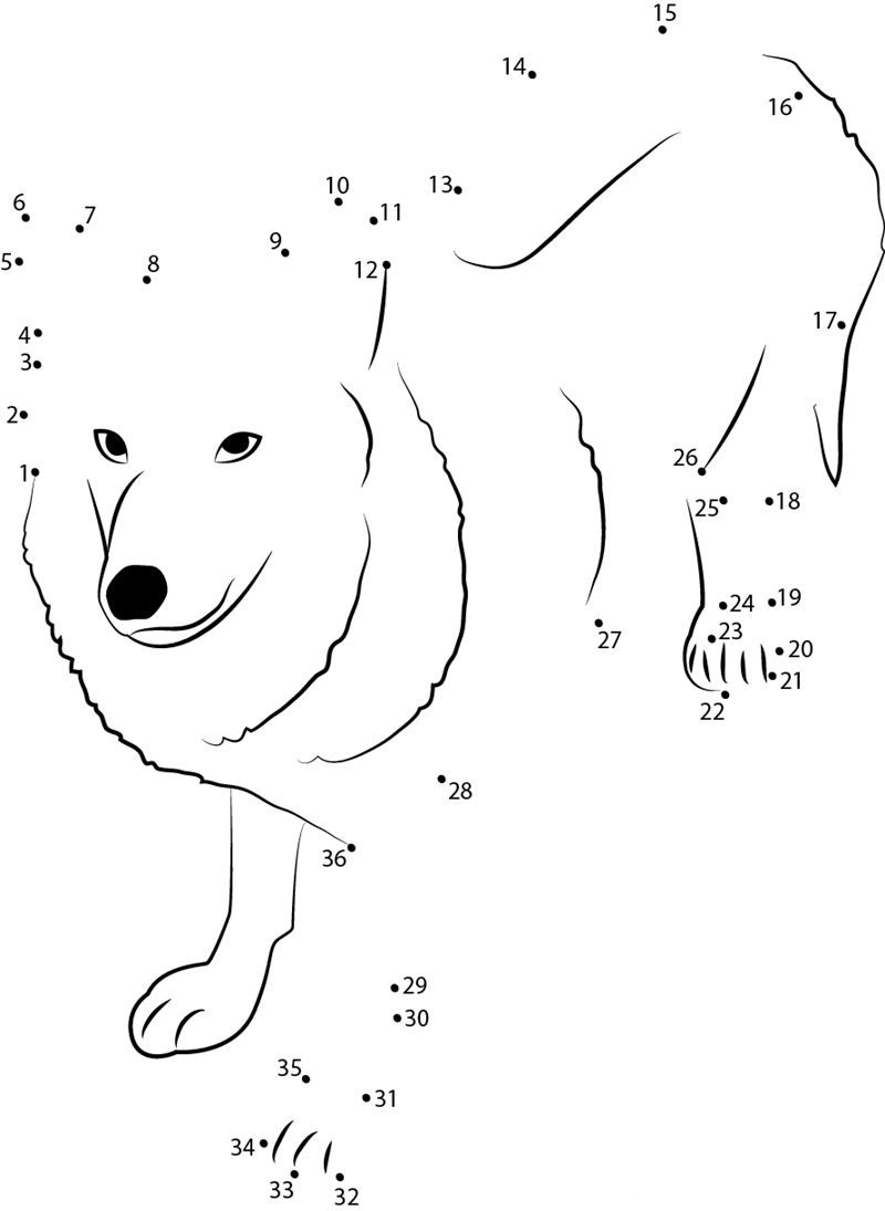 Himalayan Wolf 1 printable dot to dot worksheet