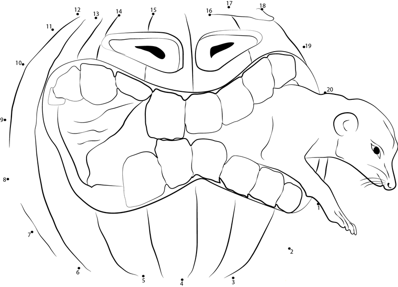 Halloween Zoo dot to dot worksheets