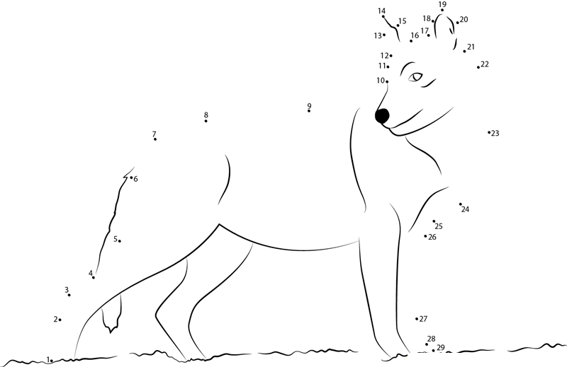 Smiling Wolf dot to dot worksheets