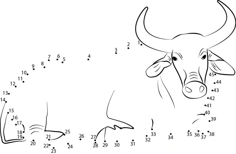 Relaxing Buffalo printable dot to dot worksheet