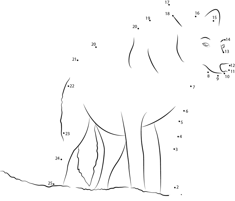 Wolf Look dot to dot worksheets