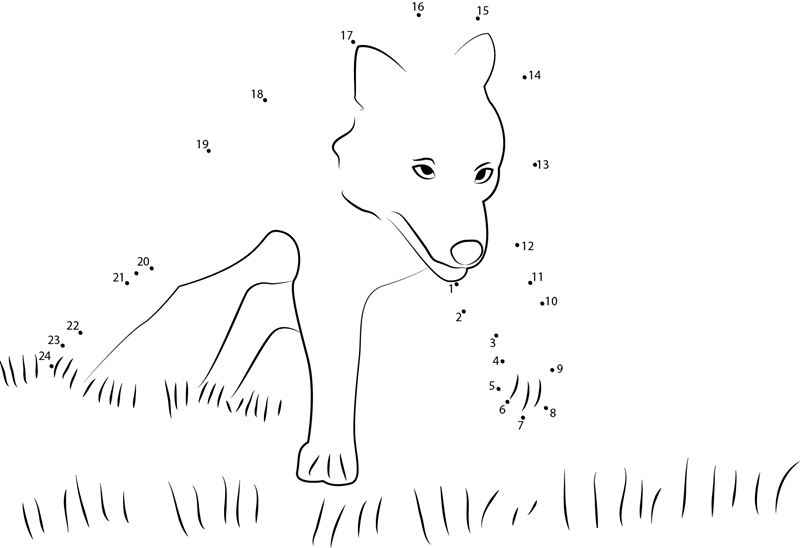 Wolf Running In Grass printable dot to dot worksheet