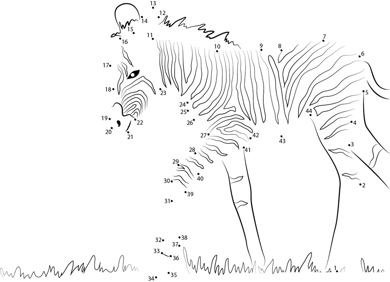 Baby Zebra Walking printable dot to dot worksheet