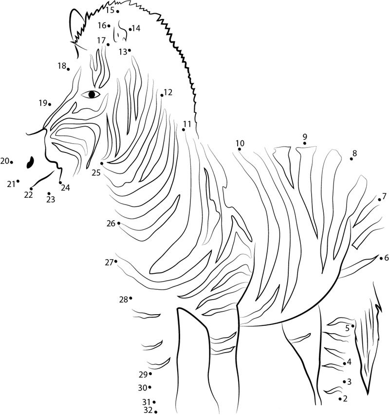 Beautiful Zebra In South Africa printable dot to dot worksheet