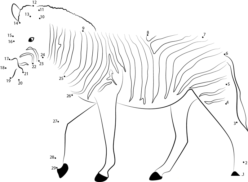 Strutting Zebra dot to dot worksheets