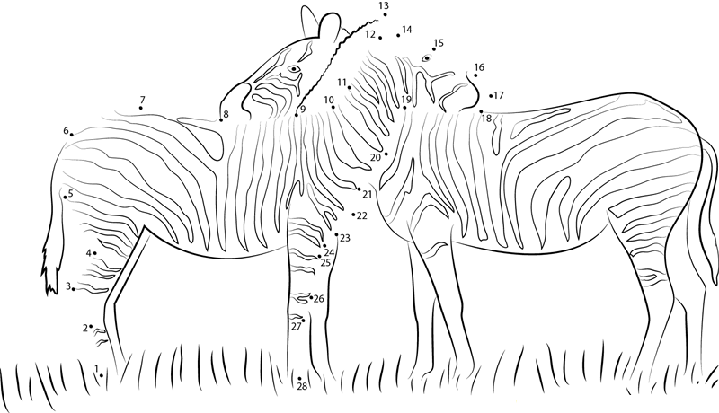 Two Zebras In Love dot to dot worksheets