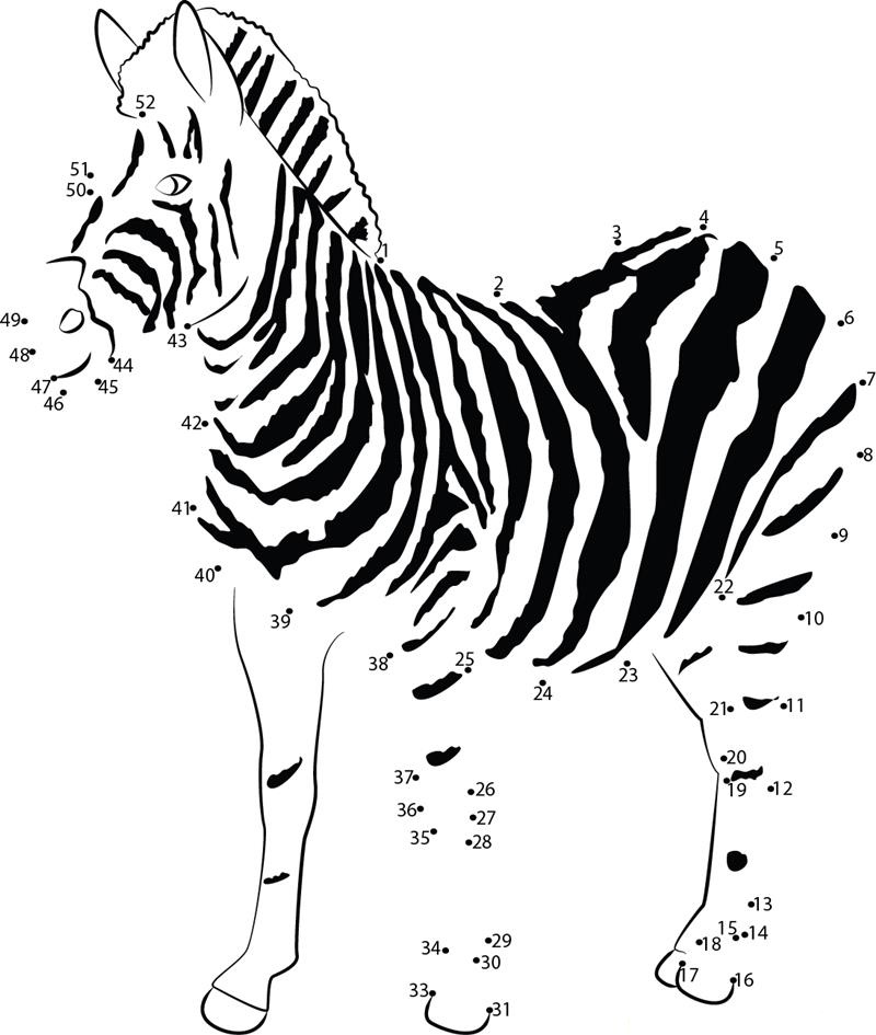 Young Zebra printable dot to dot worksheet