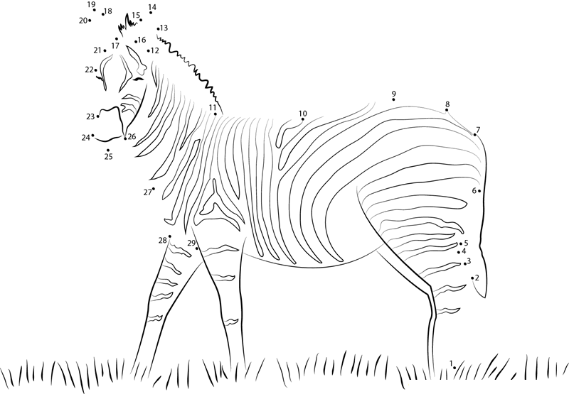 Zebra Look printable dot to dot worksheet