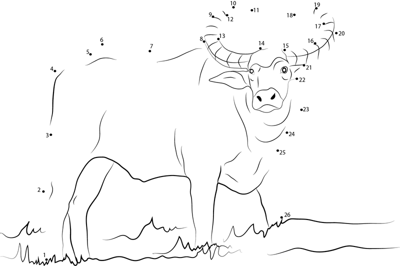 Wild Buffalo dot to dot worksheets