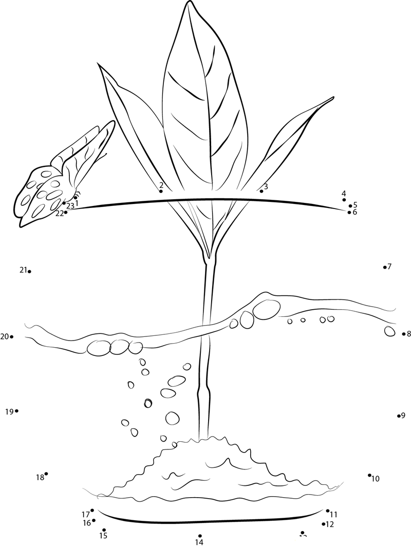 Little Plant And Water printable dot to dot worksheet