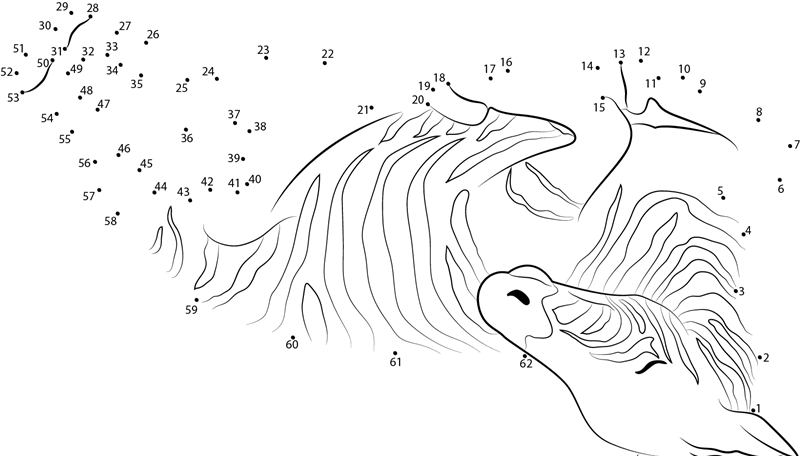 Zebra Sleeping printable dot to dot worksheet