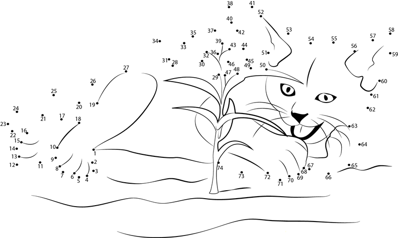 The Cats In The Natural Environment printable dot to dot worksheet