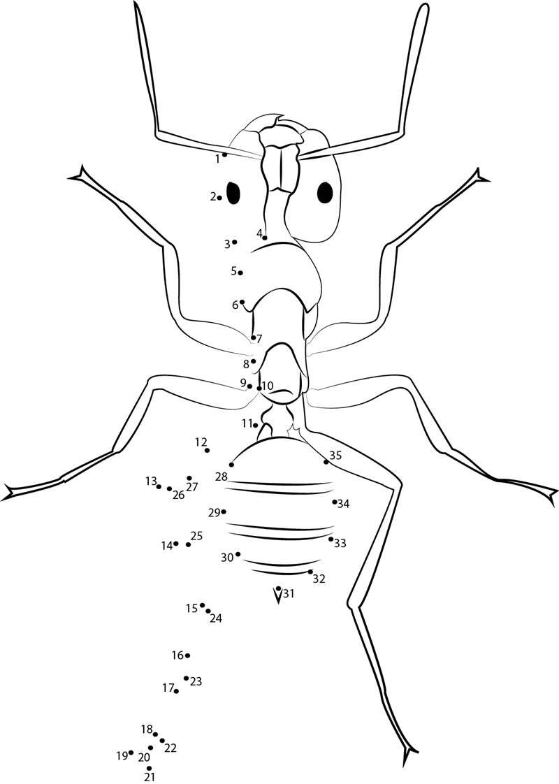 Ant 2 dot to dot worksheet