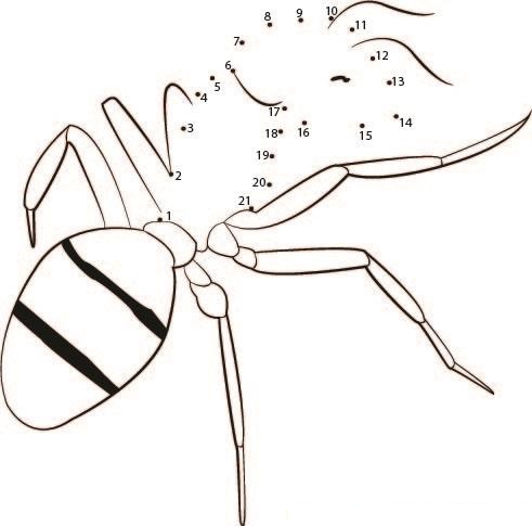 Attack Of Ant dot to dot worksheet