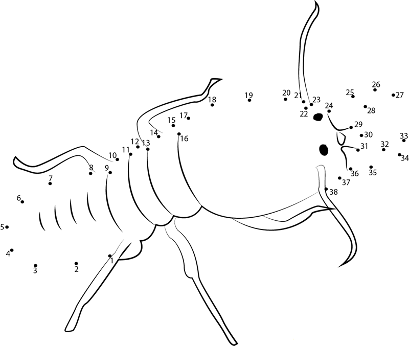 Bigg Ant printable dot to dot worksheet