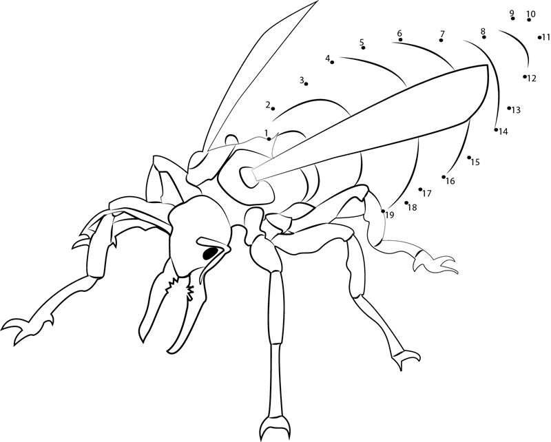 Giant Ant printable dot to dot worksheet