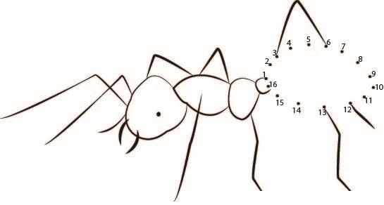 Smart Ant printable dot to dot worksheet