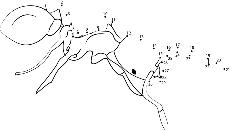 Thief Ants printable dot to dot worksheet
