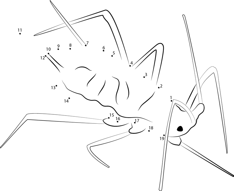 Aphid Green printable dot to dot worksheet