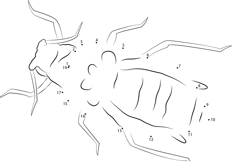 Corn Leaf Aphid printable dot to dot worksheet