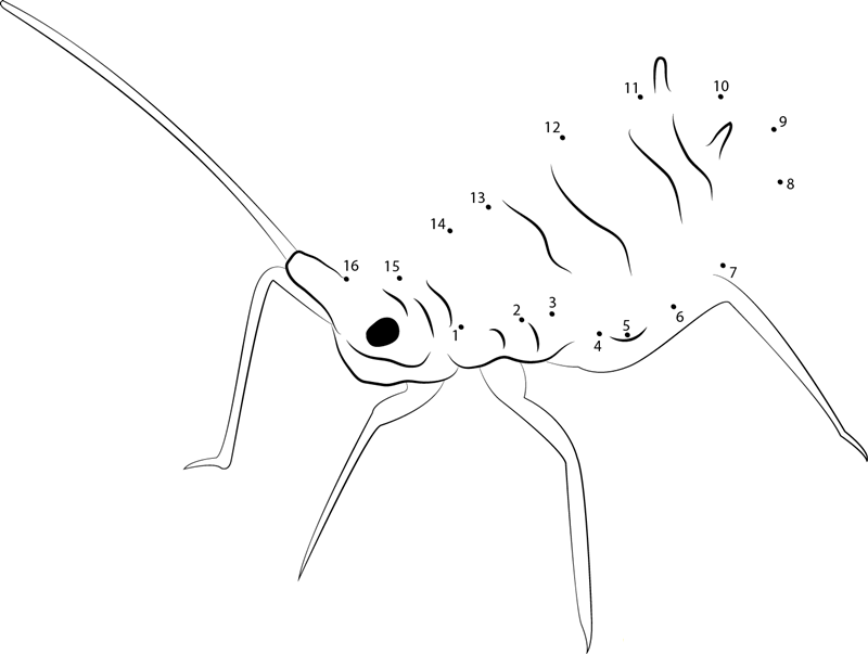 Green Aphid Look printable dot to dot worksheet