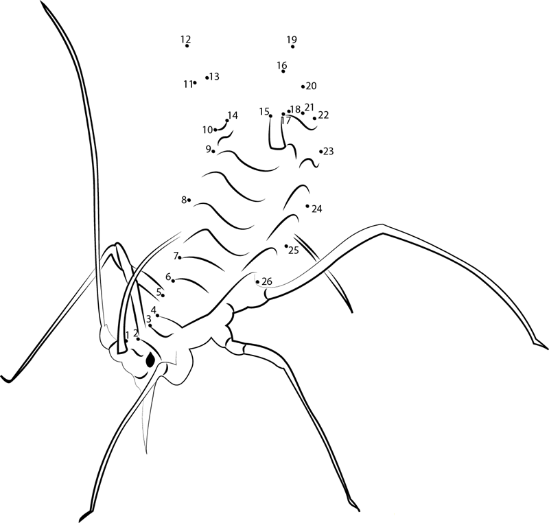 Rosy Apple Aphid printable dot to dot worksheet