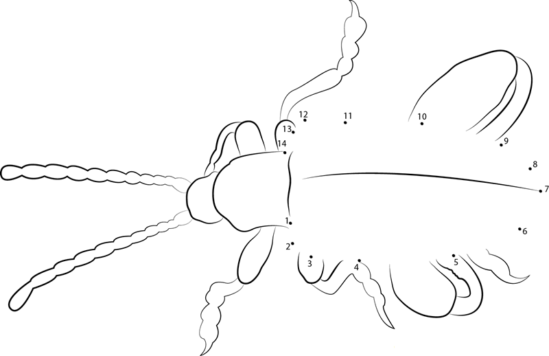 Flea Beetle Mysticz printable dot to dot worksheet