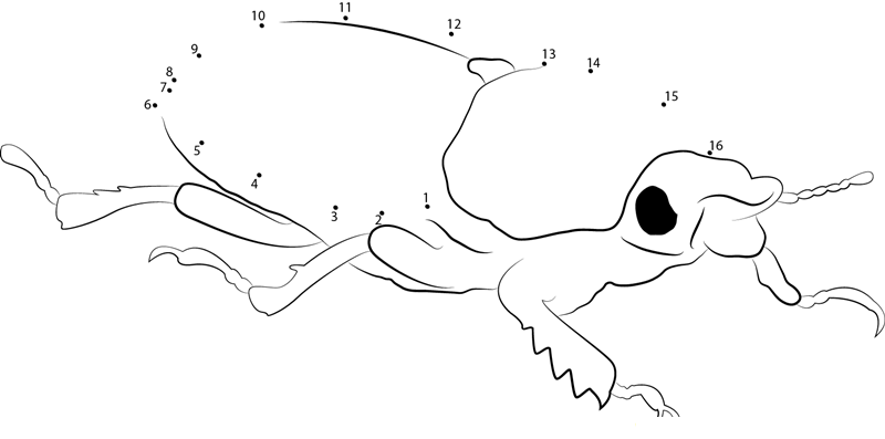 Golden Stag Beetle printable dot to dot worksheet