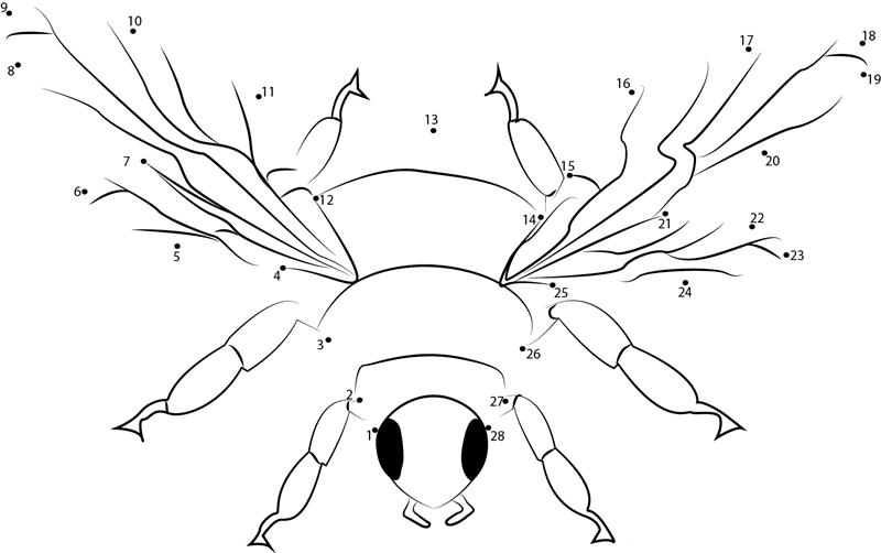 Insect Bumble Bee printable dot to dot worksheet