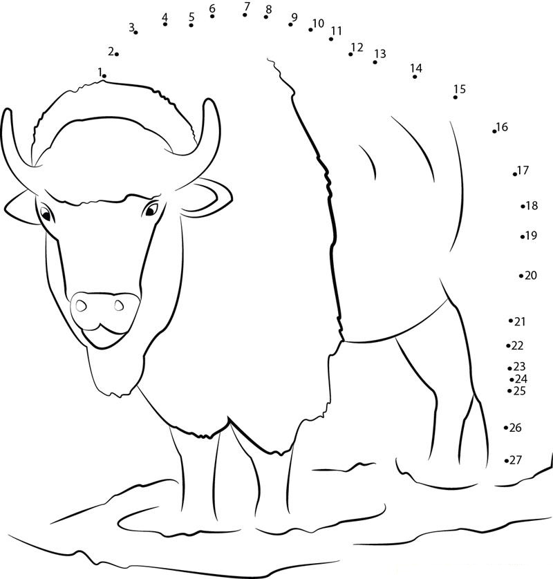 Aggressive Bull dot to dot worksheets