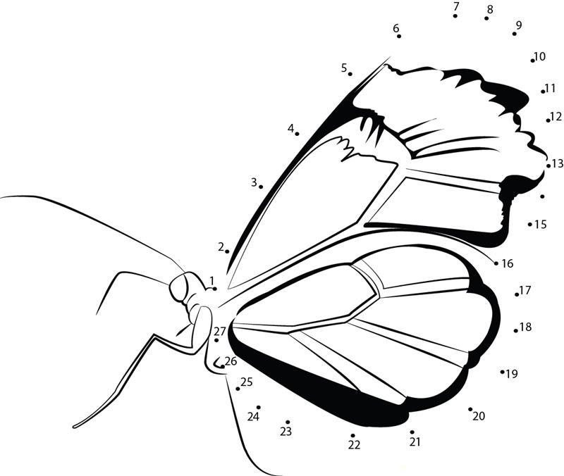 Butterfly dot to dot worksheets