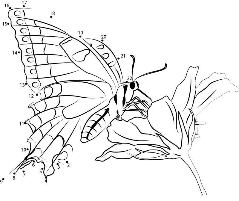 Butterfly On Flower printable dot to dot worksheet