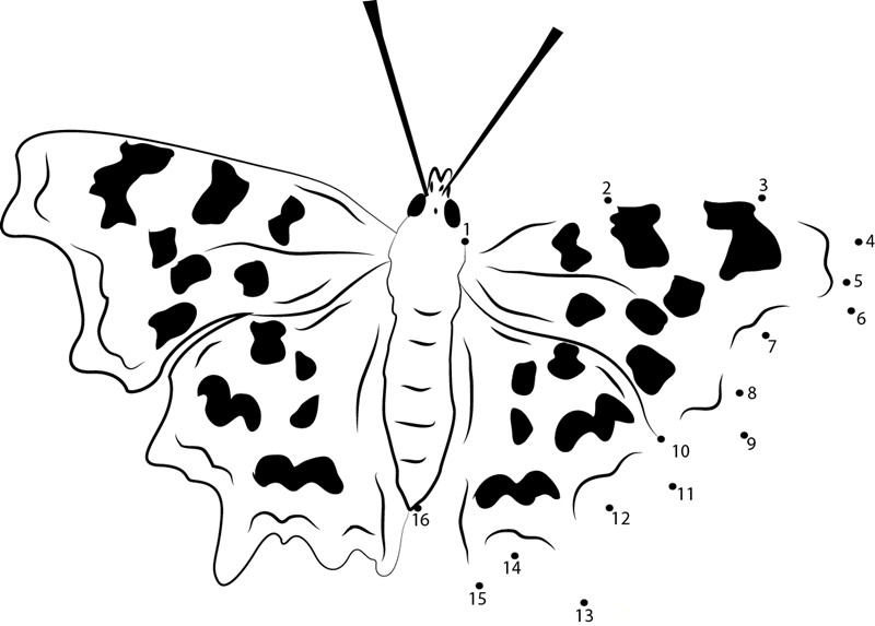 Endangered Butterflies dot to dot worksheets