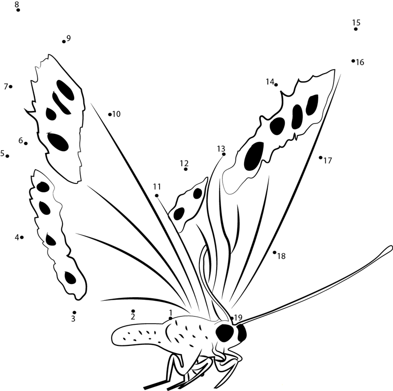 Fly Butterfly dot to dot worksheets