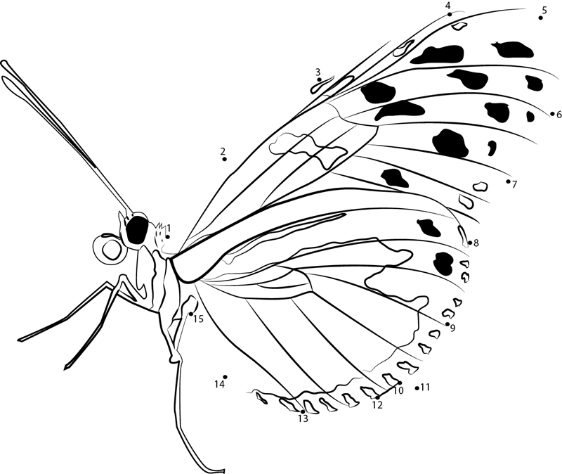 Insects Butterfly dot to dot worksheets