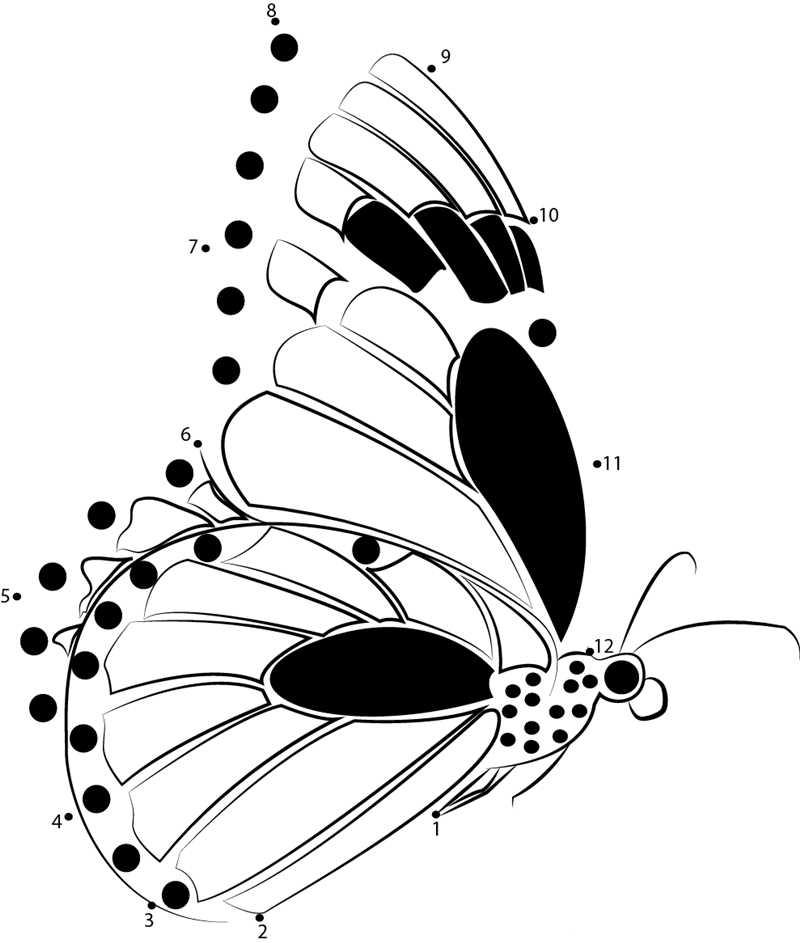 Monarch Butterflies Flying dot to dot worksheets