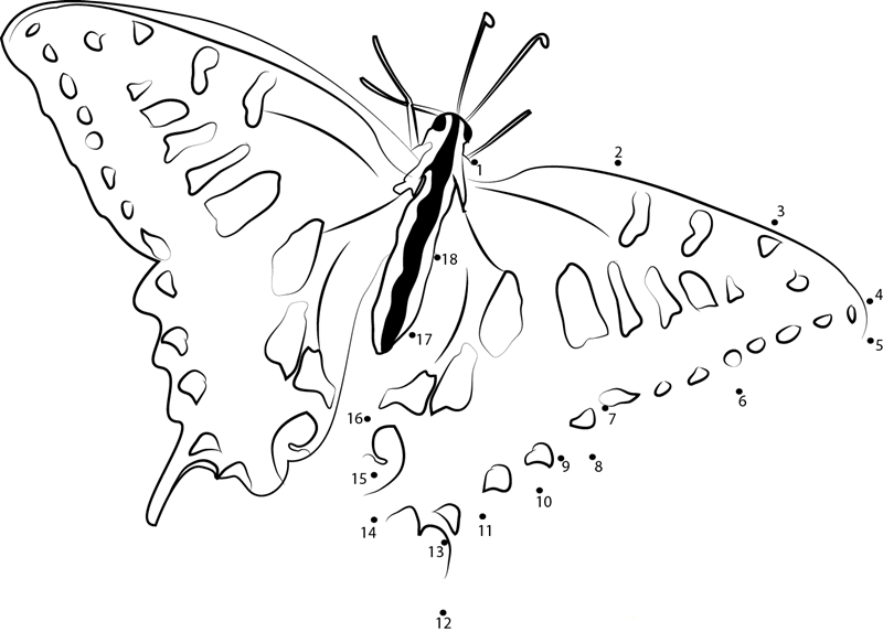 Swallowtail Butterfly dot to dot worksheets