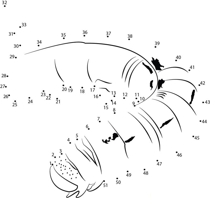 Caterpillar printable dot to dot worksheet