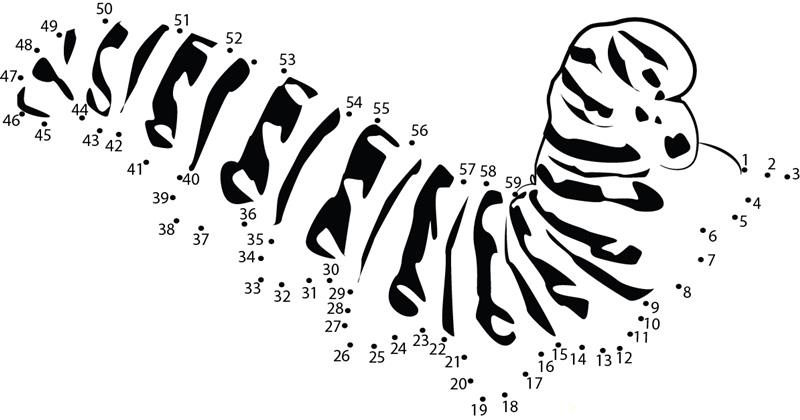 Cool Caterpillar printable dot to dot worksheet