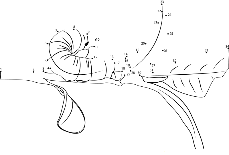 Prevent Caterpillars printable dot to dot worksheet