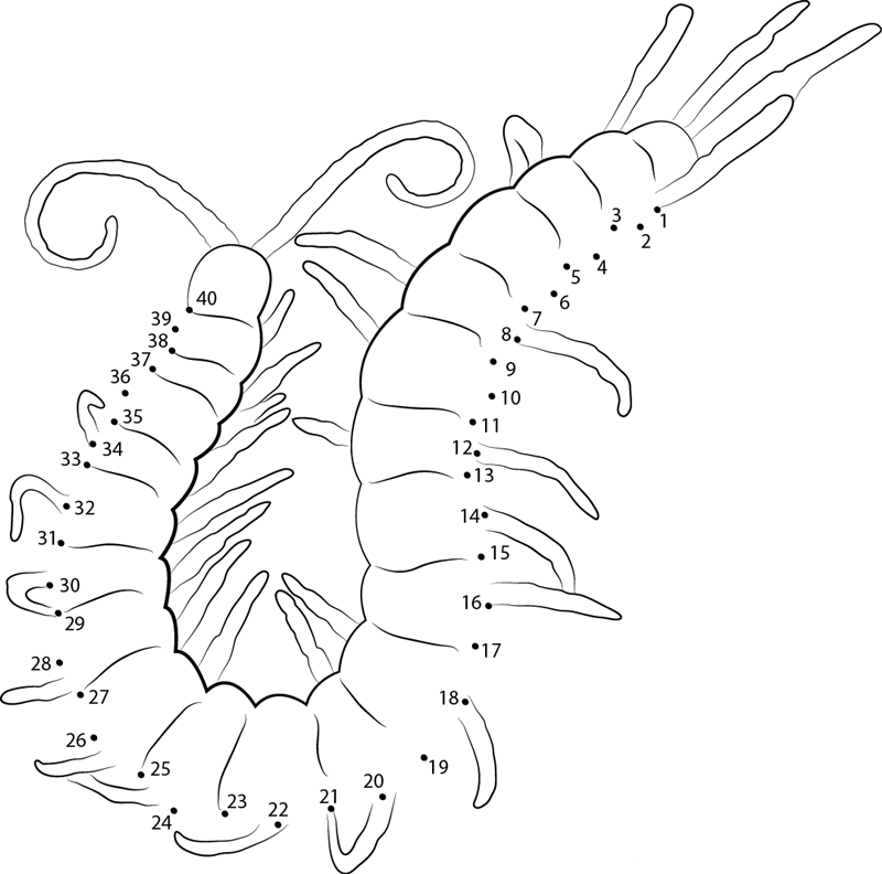 Centipede printable dot to dot worksheet