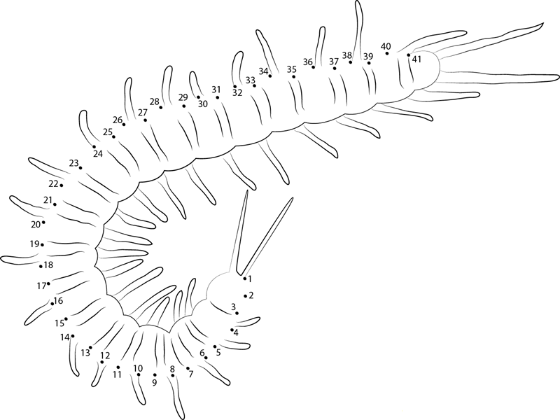 Centipede Namibia Roger printable dot to dot worksheet