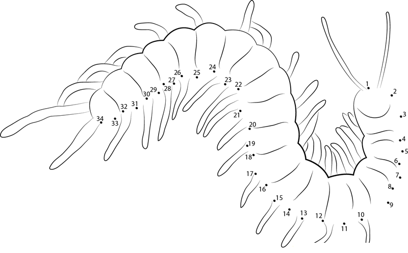 Giant Centipede printable dot to dot worksheet