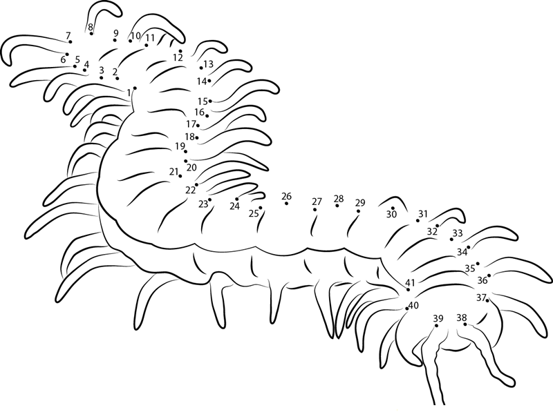 Megarian Banded Centipede printable dot to dot worksheet