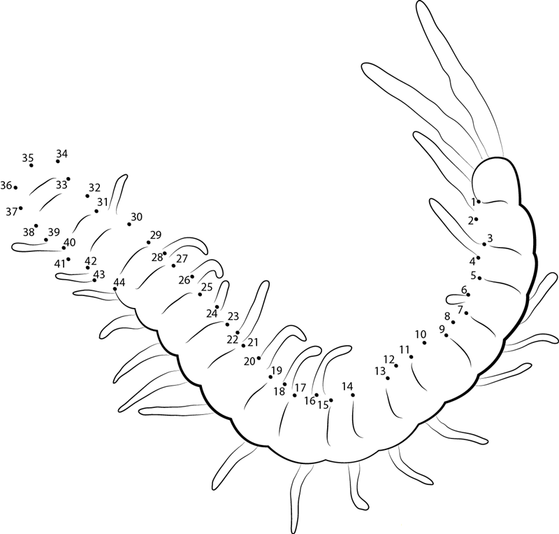 Orange Centipede printable dot to dot worksheet